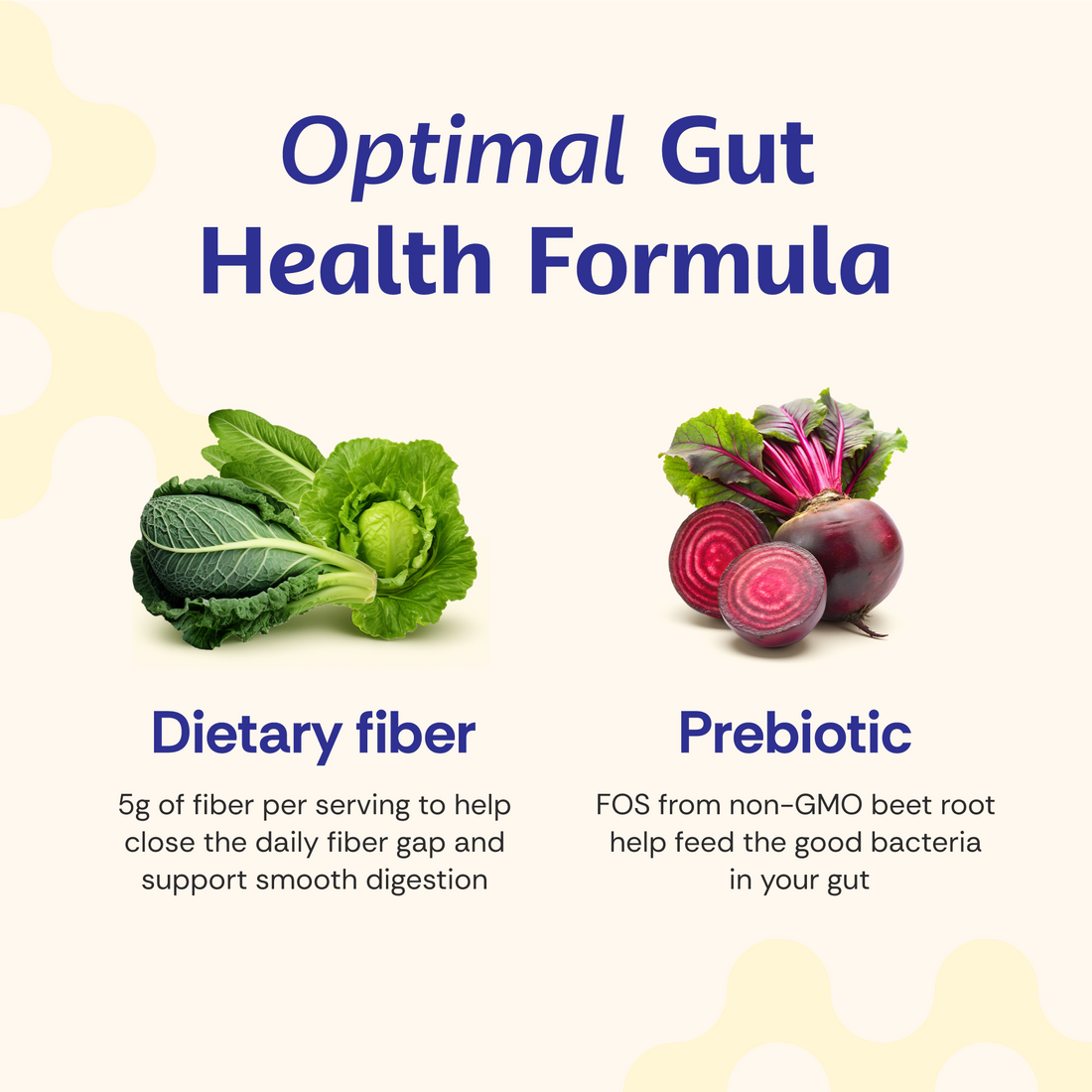 Fiber Gummy