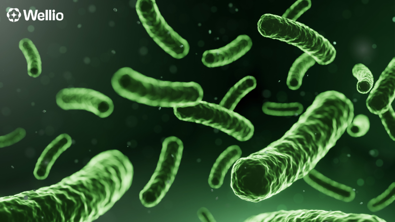 GLP-1 Probiotics