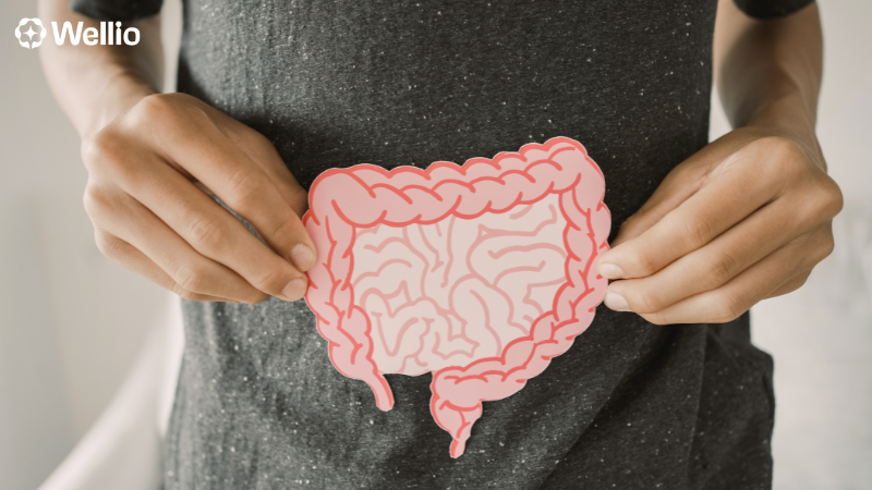 Akkermansia: The Next-Generation Probiotic for Gut Health, Weight Management & Immunity