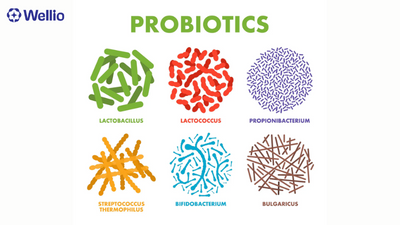 How to Choose the Best Probiotic for Gut Health