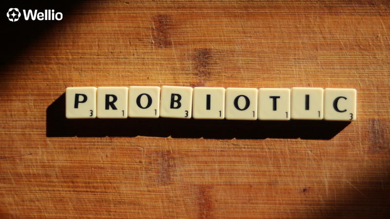 Probiotics 101: The Complete Guide to Gut Health, Benefits, and Daily Use