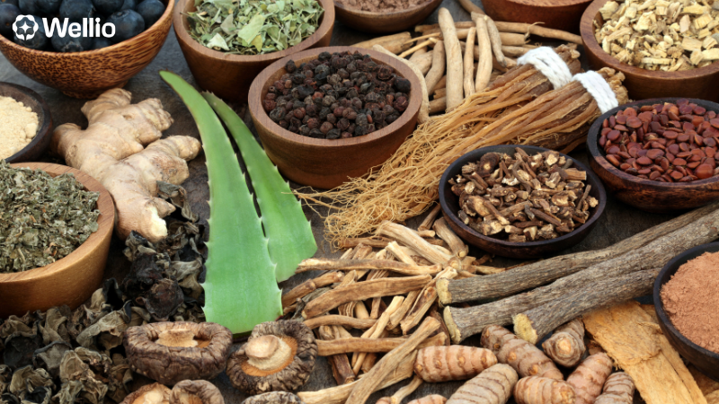 Best Supplements for Gut Health and Weight Loss