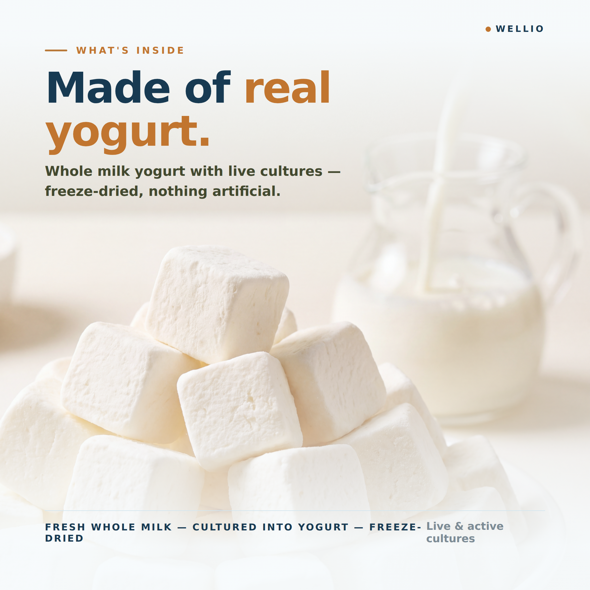Wellio Freeze-Dried White Yogurt Bites