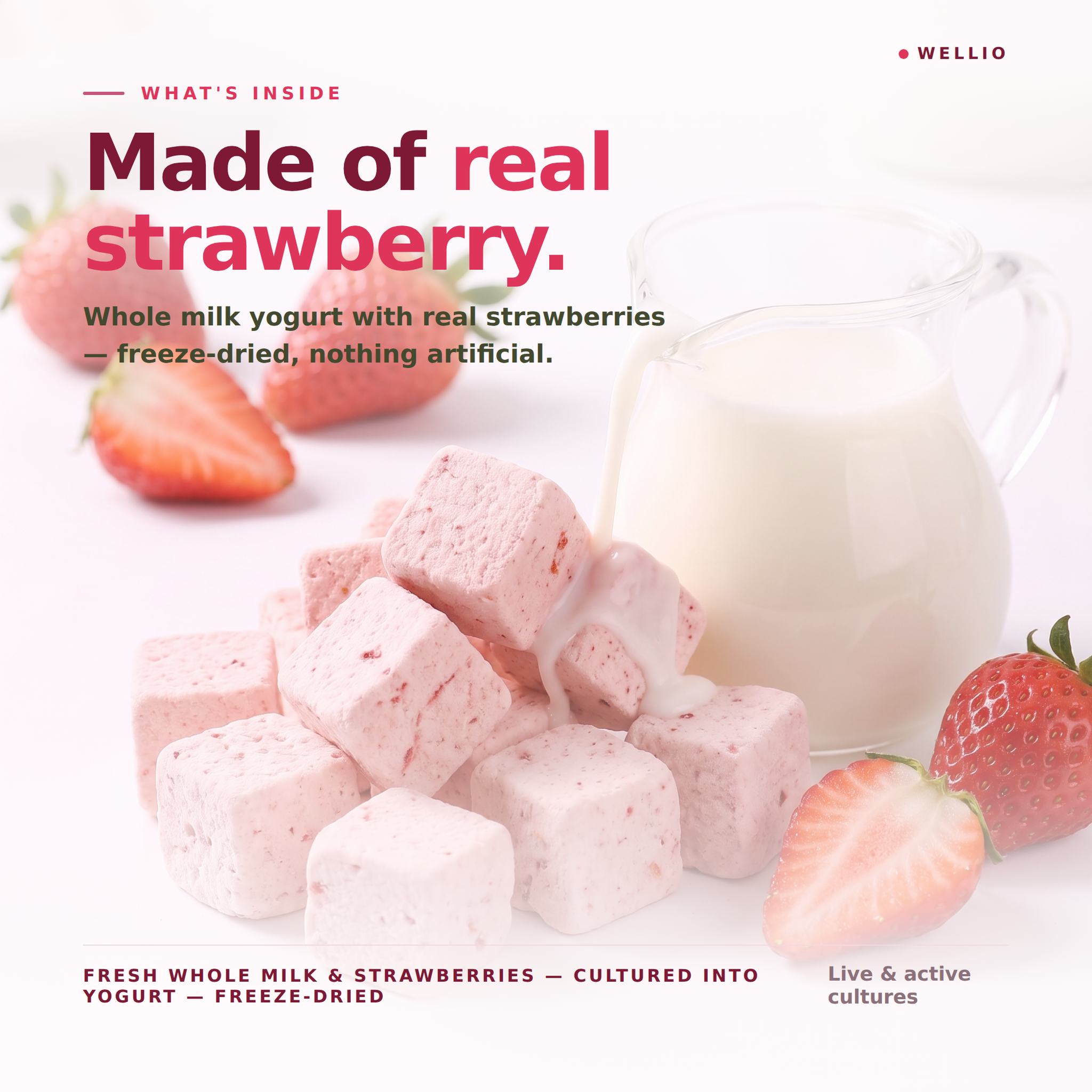 Wellio Freeze-Dried Strawberry Yogurt Bites