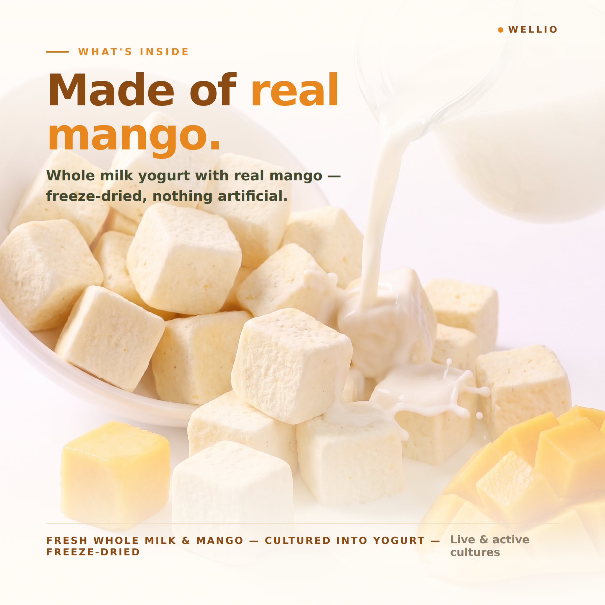 Wellio Freeze-Dried Mango Yogurt Bites