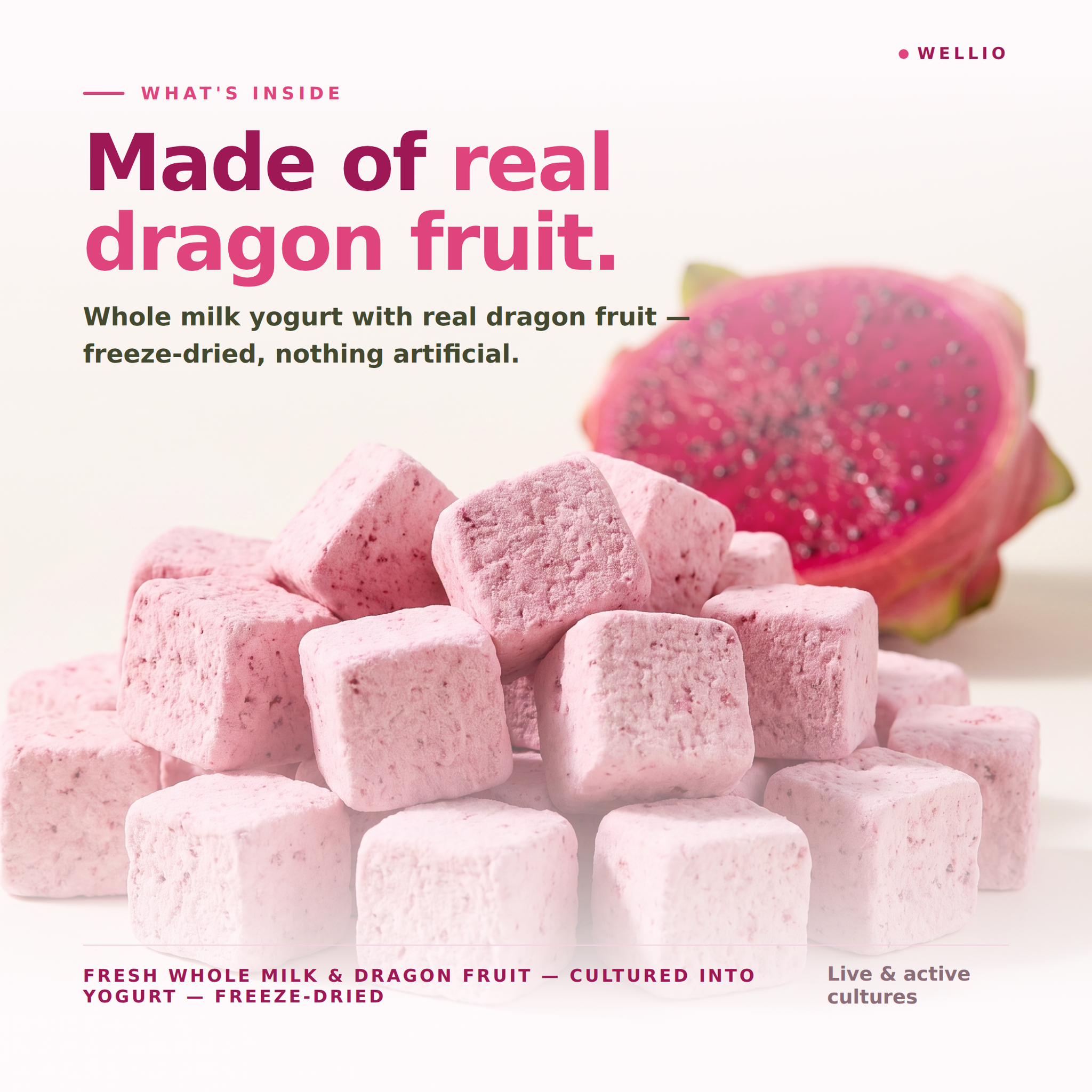 Wellio Freeze-Dried Dragon Fruit Yogurt Bites