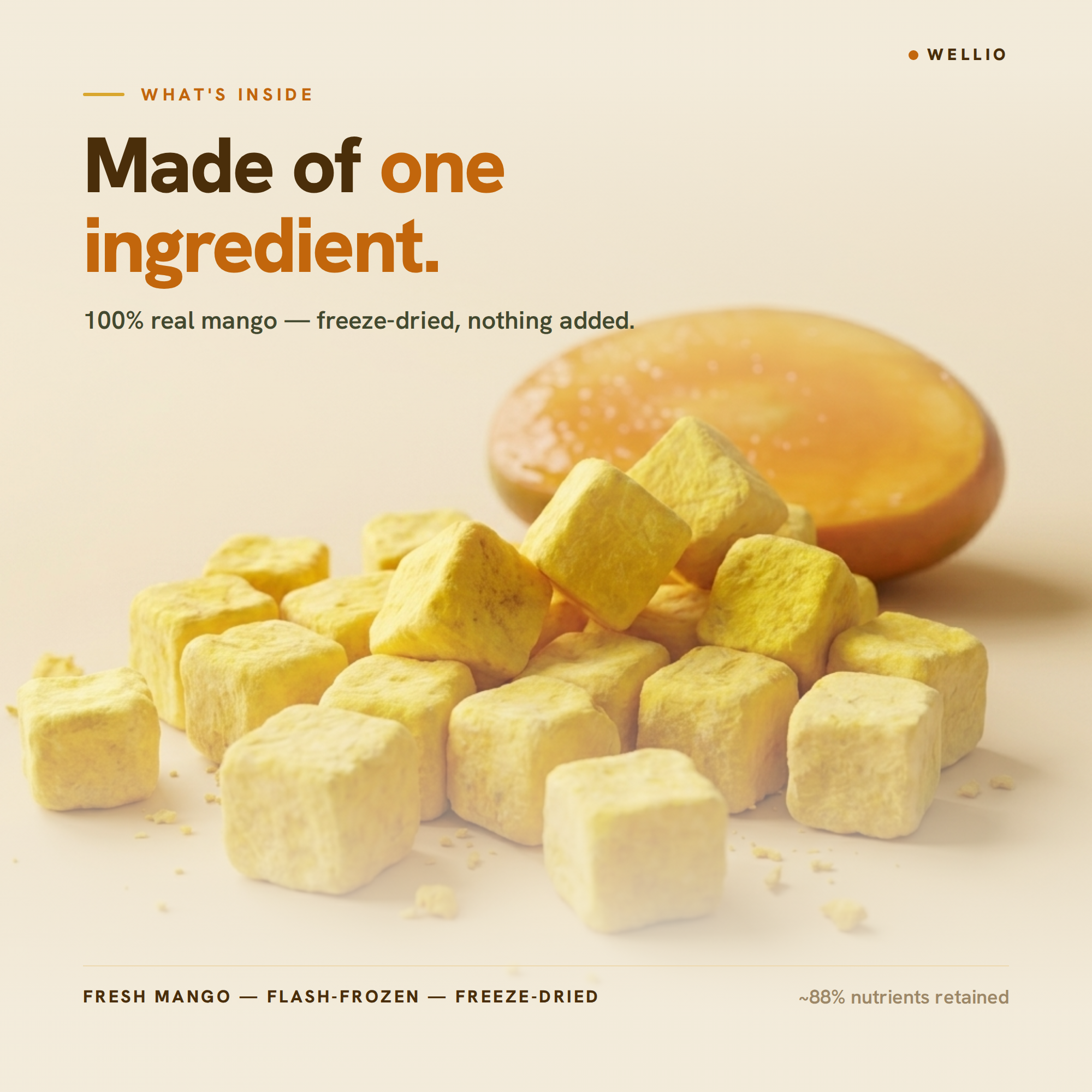 Organic Freeze-Dried Mango Bites – USDA Organic Certified Healthy Fruit Snacks, 100% Real Mango Cubes with No Added Sugar, Non-GMO, Gluten-Free, Vegan, Single Origin (1.5 oz / 42g)