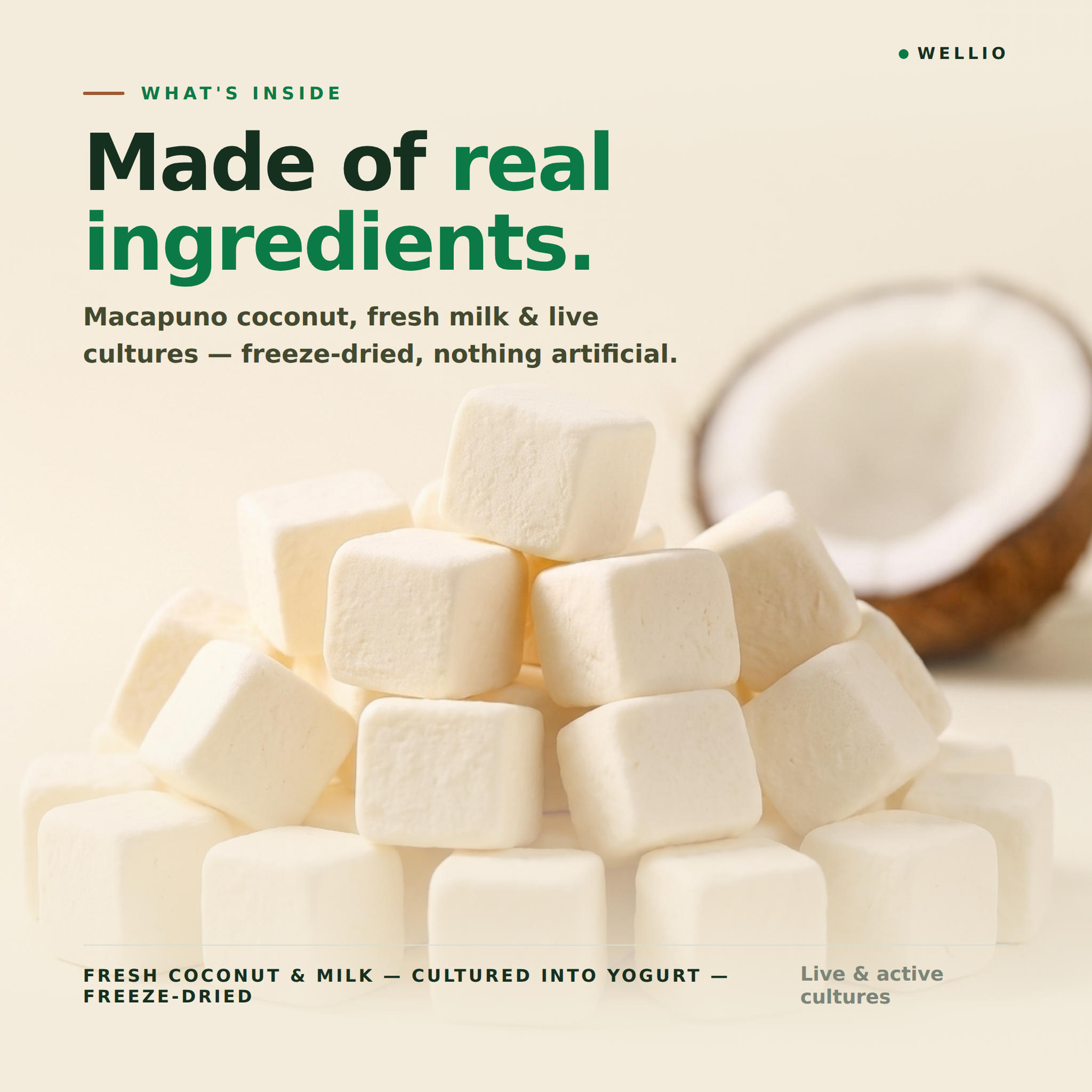Wellio Freeze-Dried Macapuno Coconut Yogurt Bites