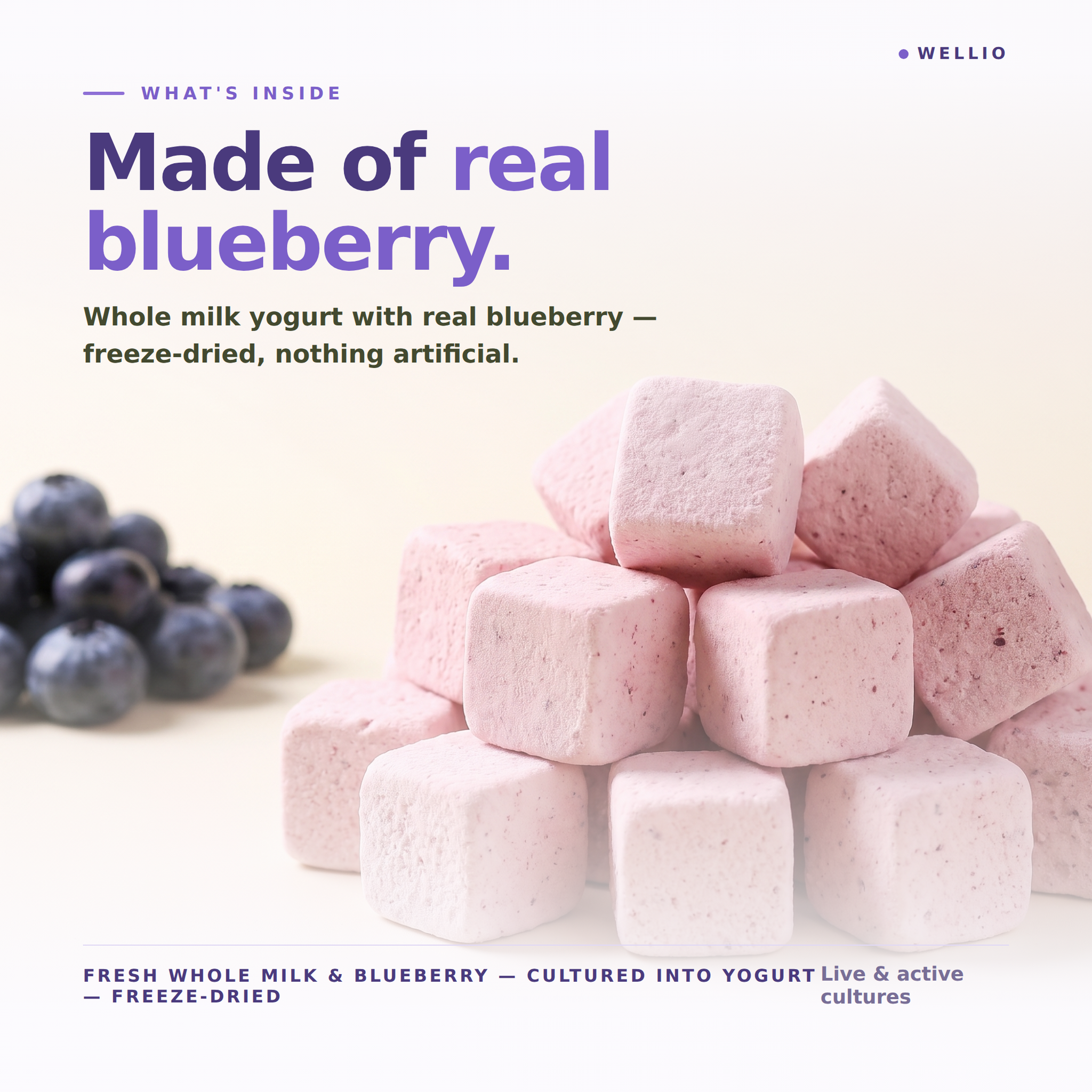 Wellio Freeze-Dried Blueberry Yogurt Bites