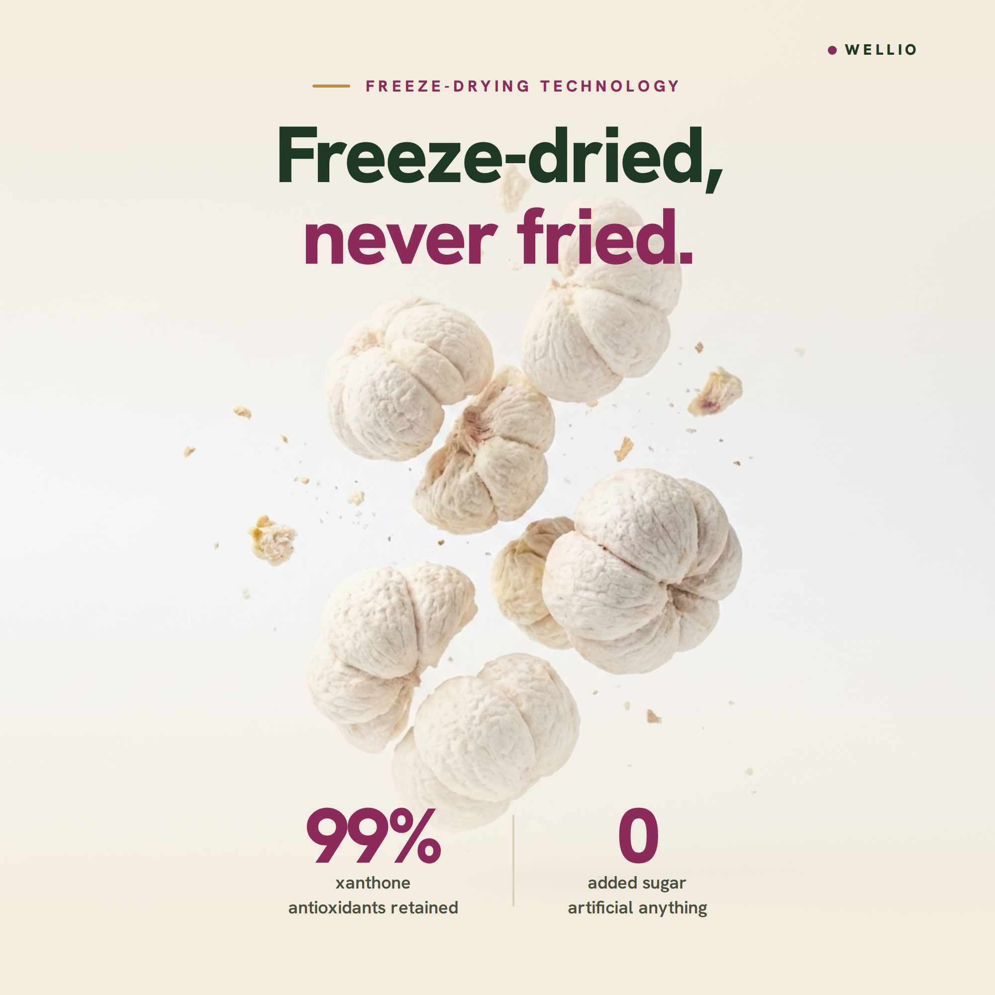 Organic Freeze-Dried Mangosteen (1.5 oz / 42g) – 100% Pure Whole Fruit Snacks, No Added Sugar, Rich in Xanthone Antioxidants, Mekong Delta Single Origin