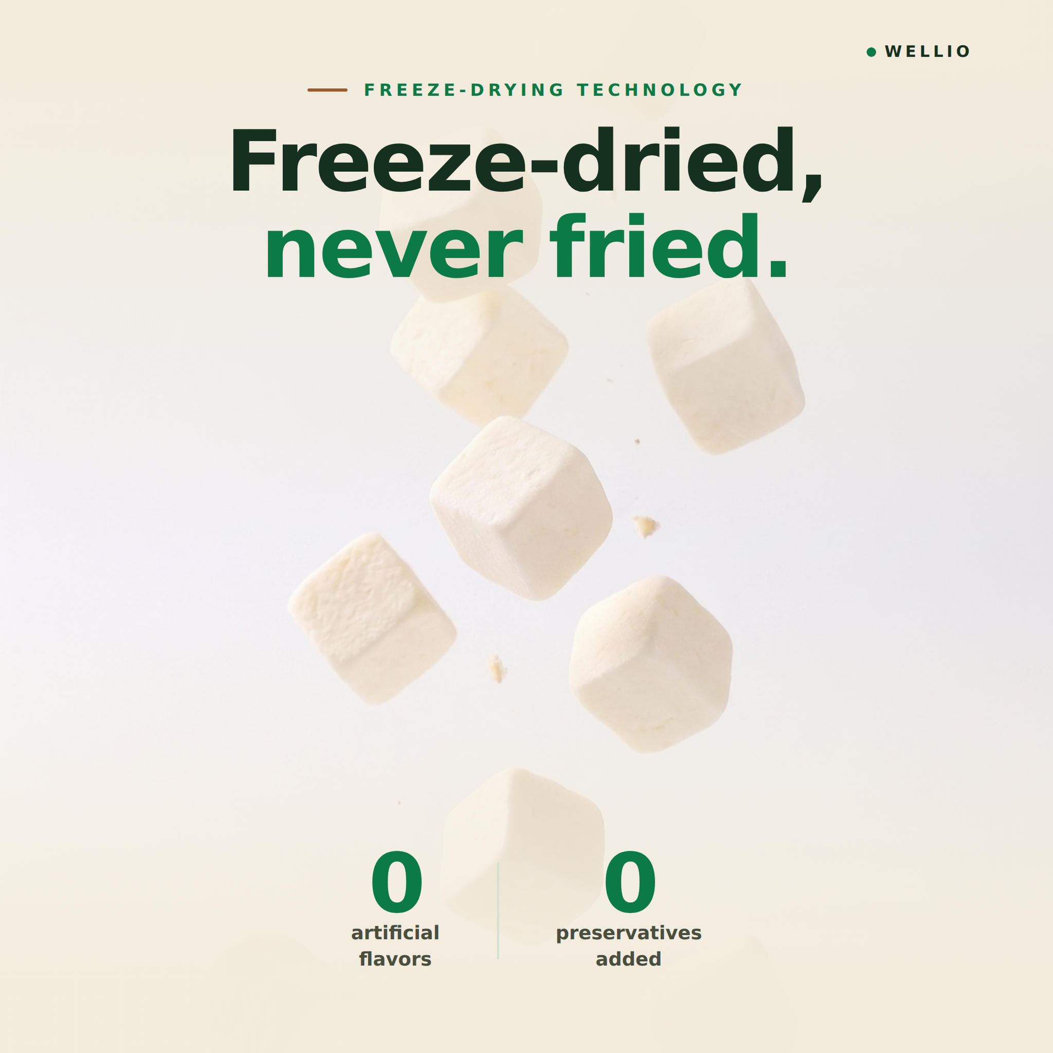 Wellio Freeze-Dried Macapuno Coconut Yogurt Bites