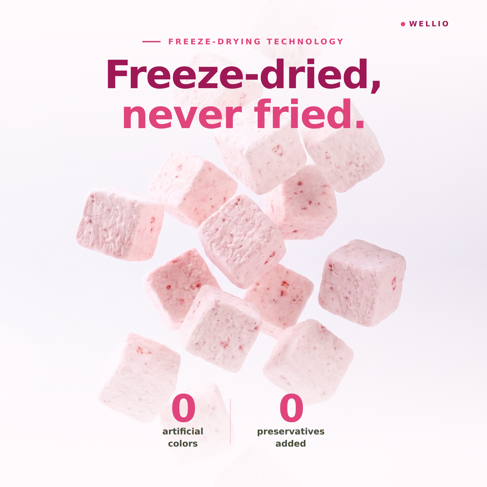 Wellio Freeze-Dried Dragon Fruit Yogurt Bites
