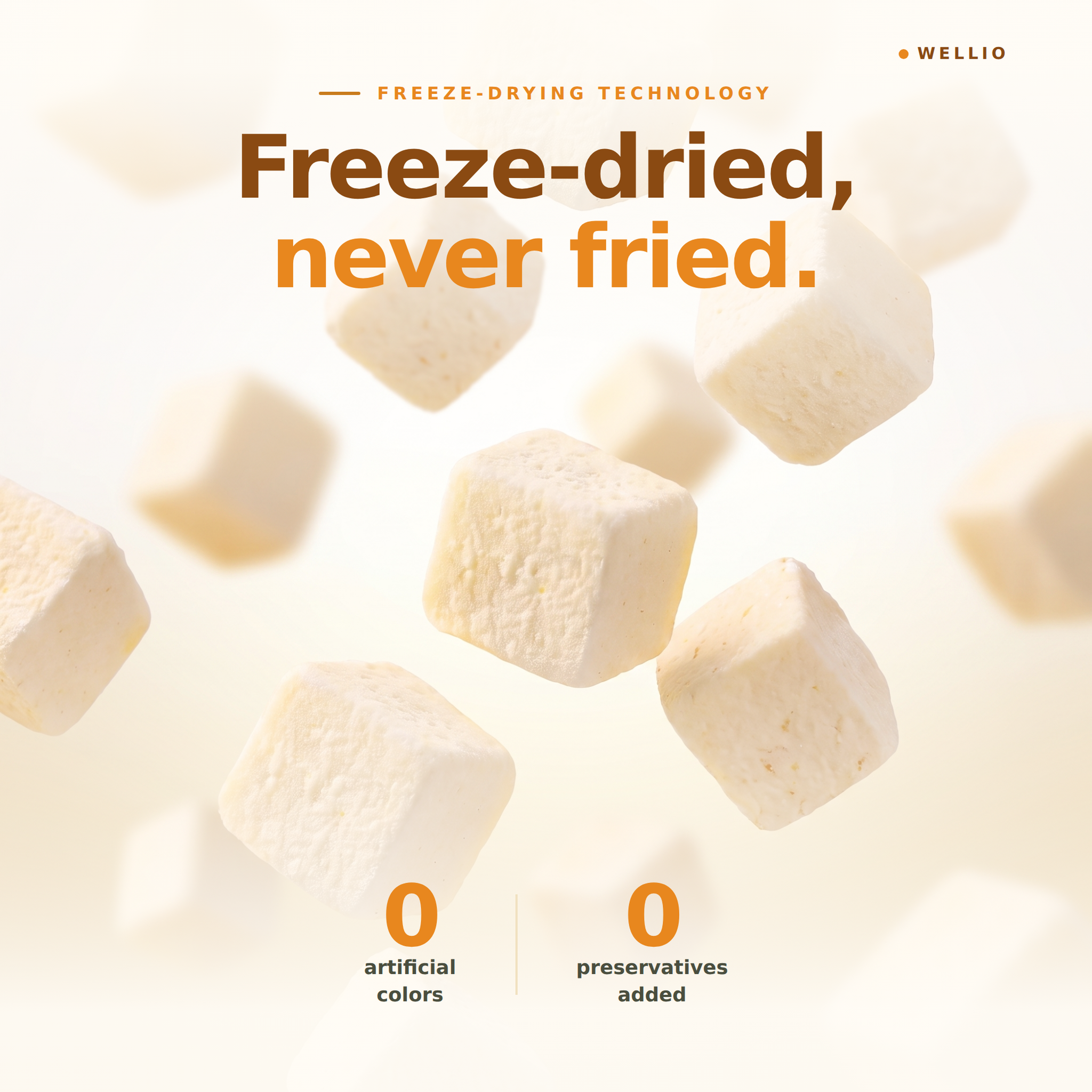 Wellio Freeze-Dried Mango Yogurt Bites