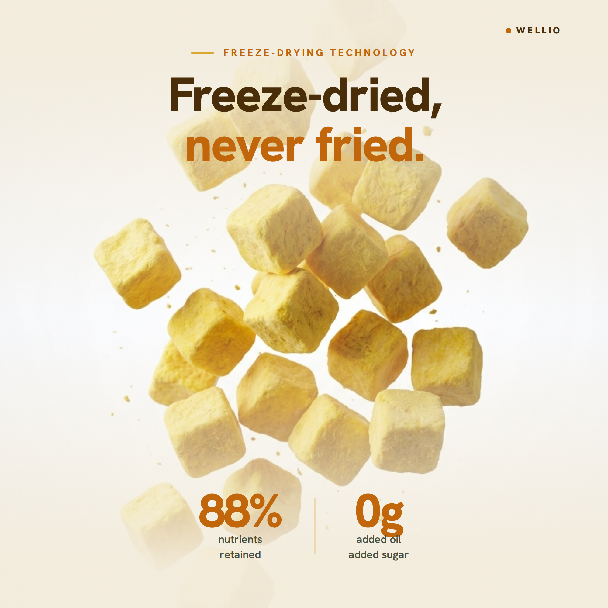 Organic Freeze-Dried Mango Bites – USDA Organic Certified Healthy Fruit Snacks, 100% Real Mango Cubes with No Added Sugar, Non-GMO, Gluten-Free, Vegan, Single Origin (1.5 oz / 42g)