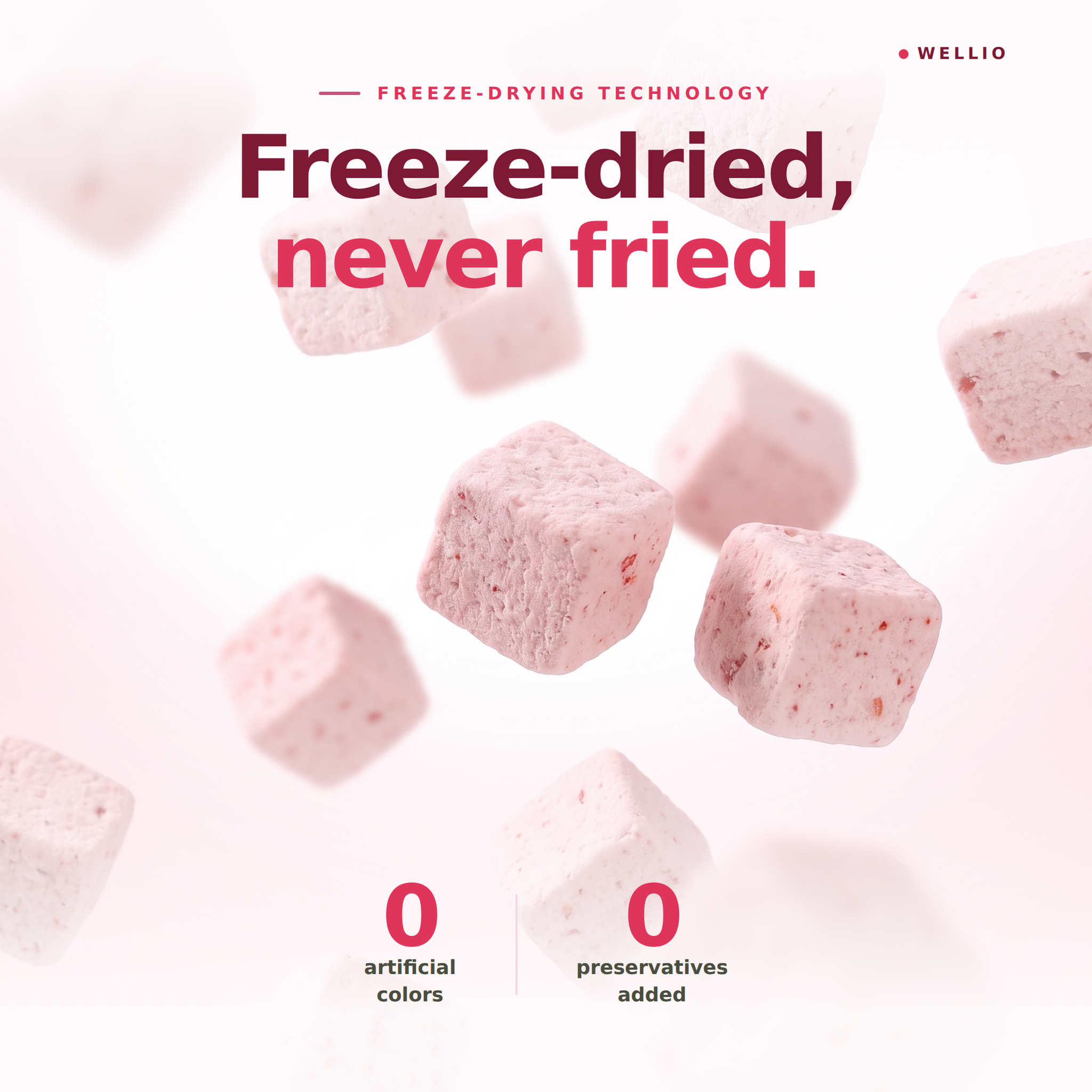 Wellio Freeze-Dried Strawberry Yogurt Bites