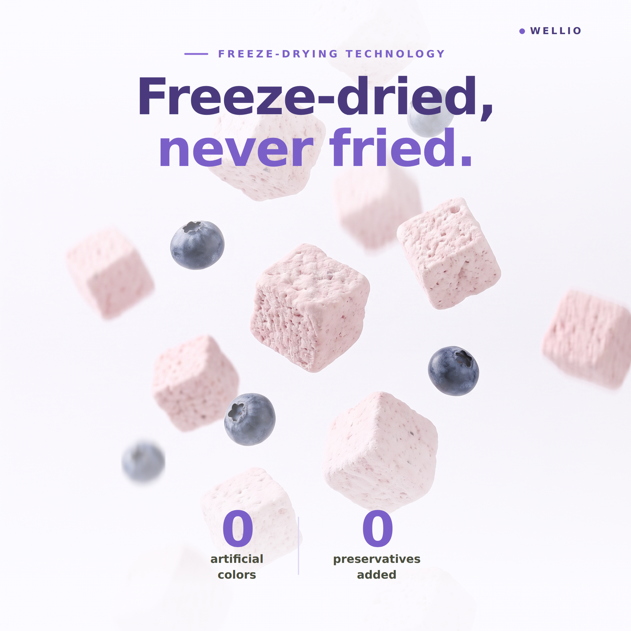 Wellio Freeze-Dried Blueberry Yogurt Bites