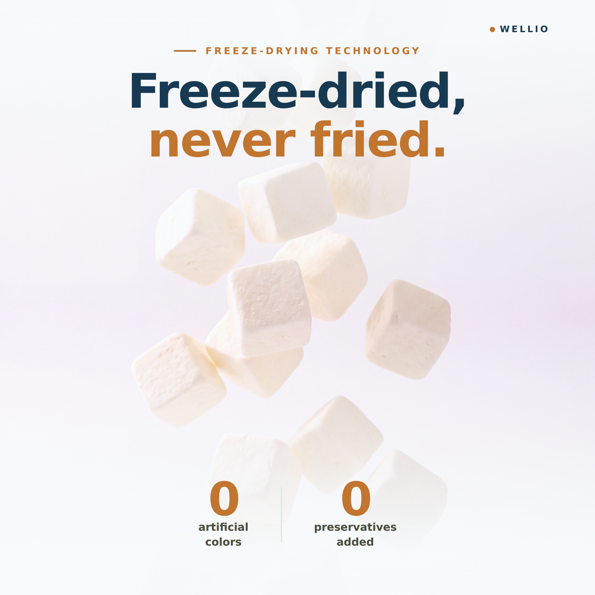 Wellio Freeze-Dried White Yogurt Bites