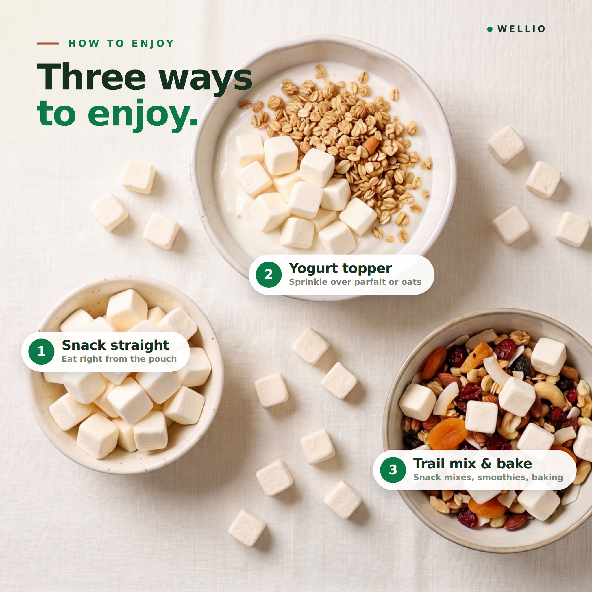 Wellio Freeze-Dried Macapuno Coconut Yogurt Bites