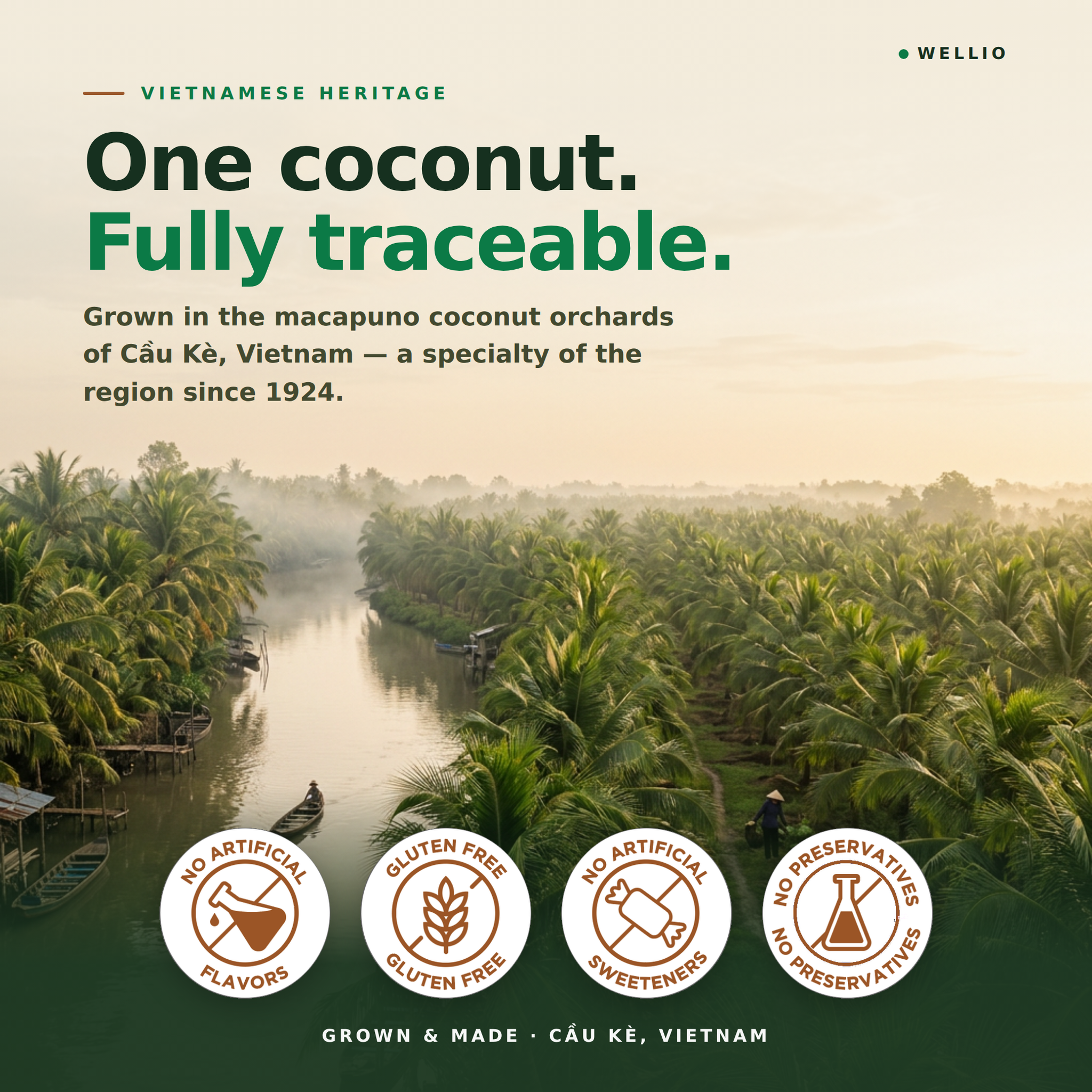 Wellio Freeze-Dried Macapuno Coconut Yogurt Bites