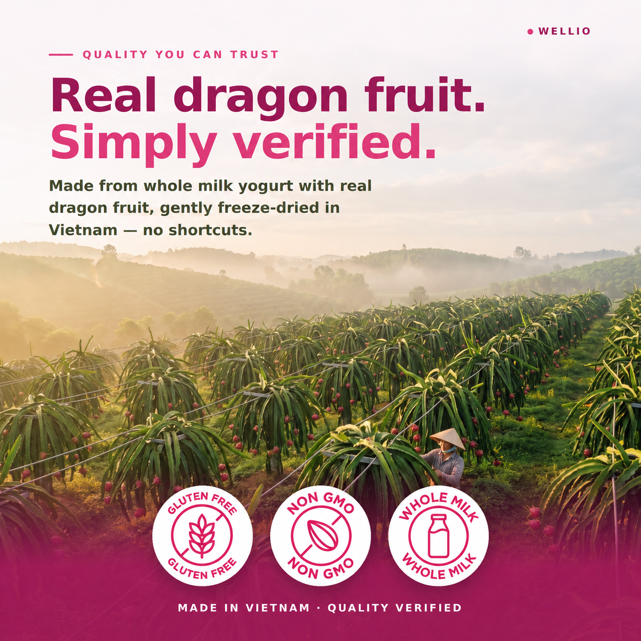 Wellio Freeze-Dried Dragon Fruit Yogurt Bites
