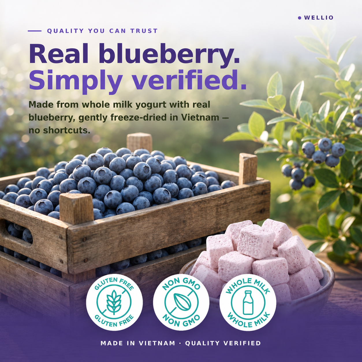 Wellio Freeze-Dried Blueberry Yogurt Bites