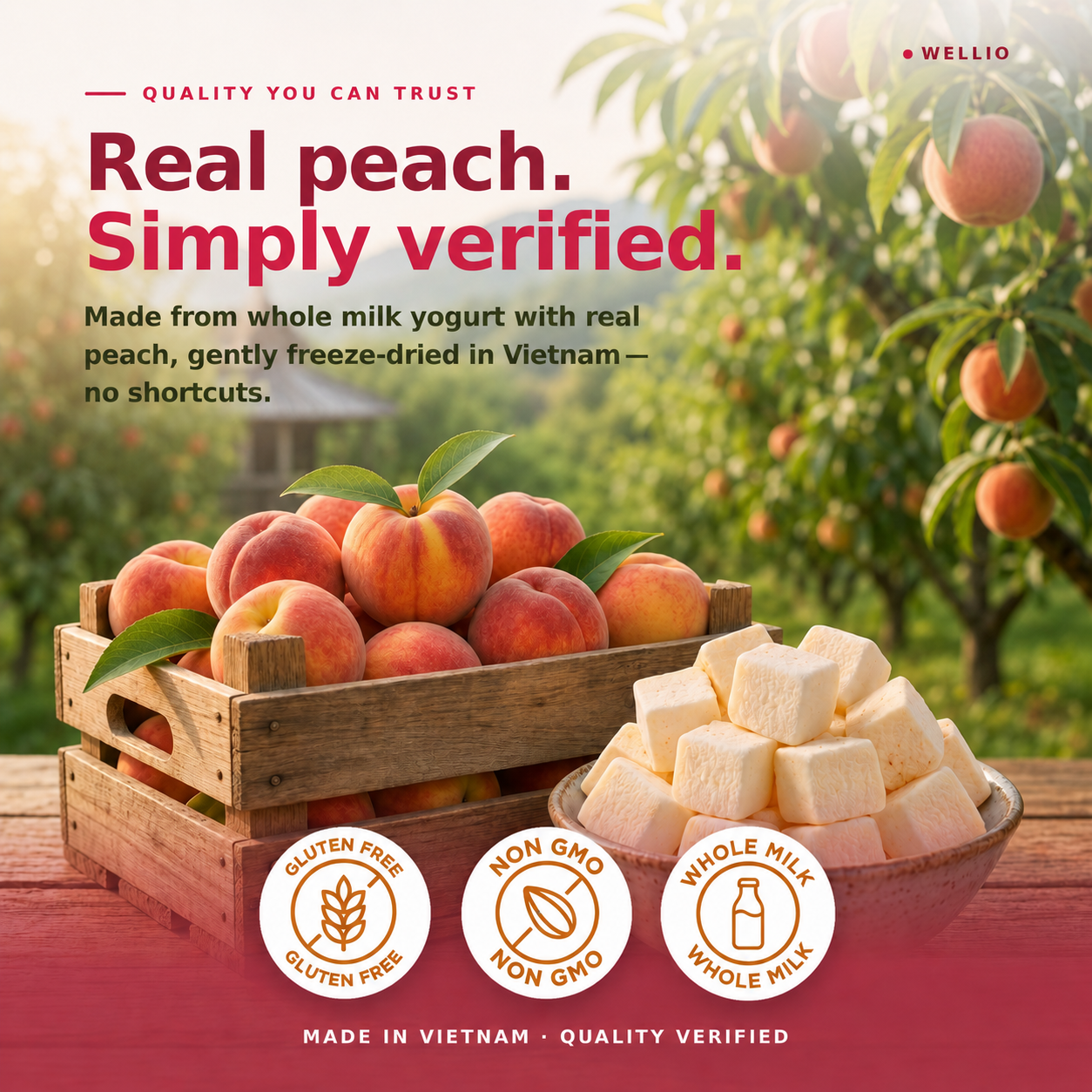 Wellio Freeze-Dried Peach Yogurt Bites
