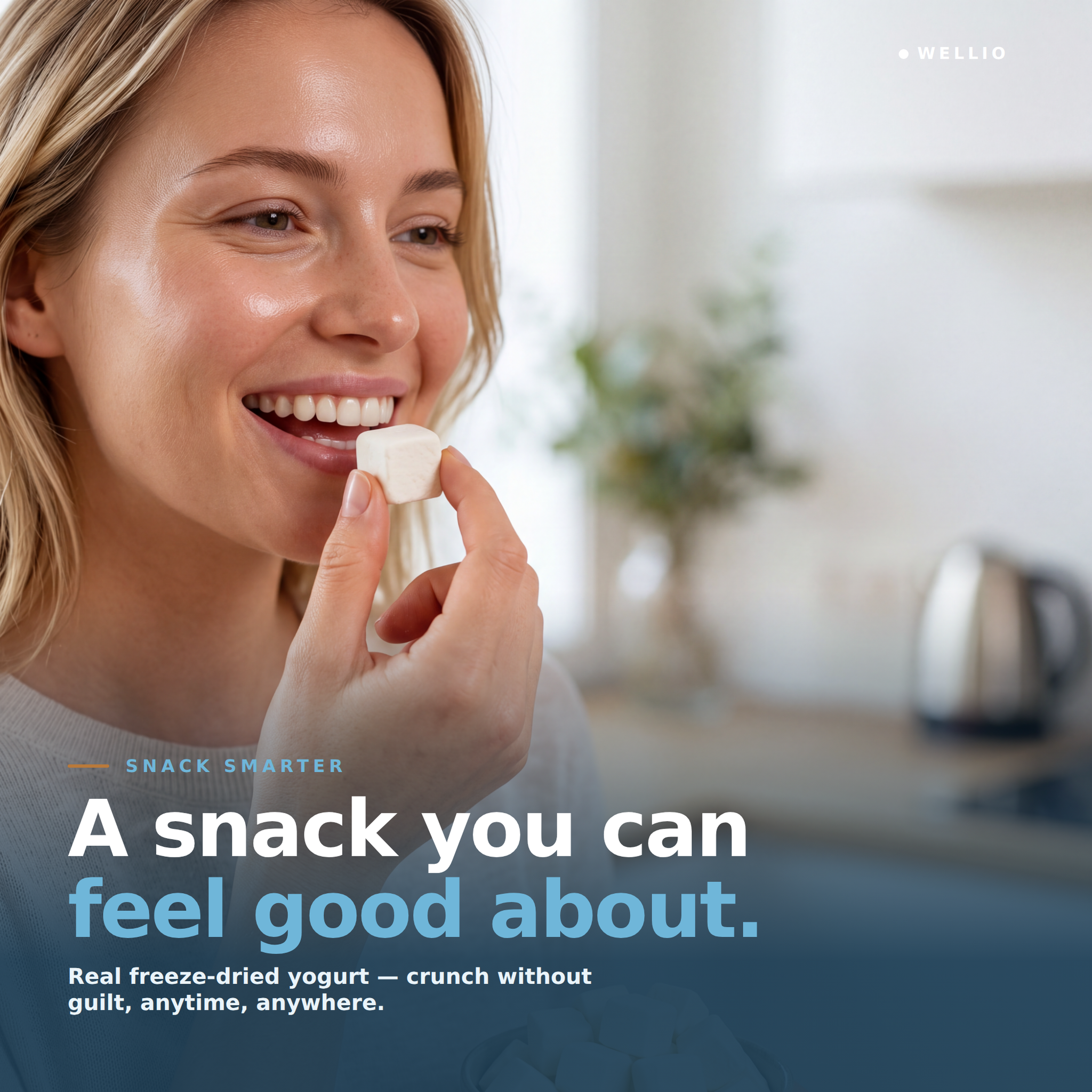 Wellio Freeze-Dried White Yogurt Bites