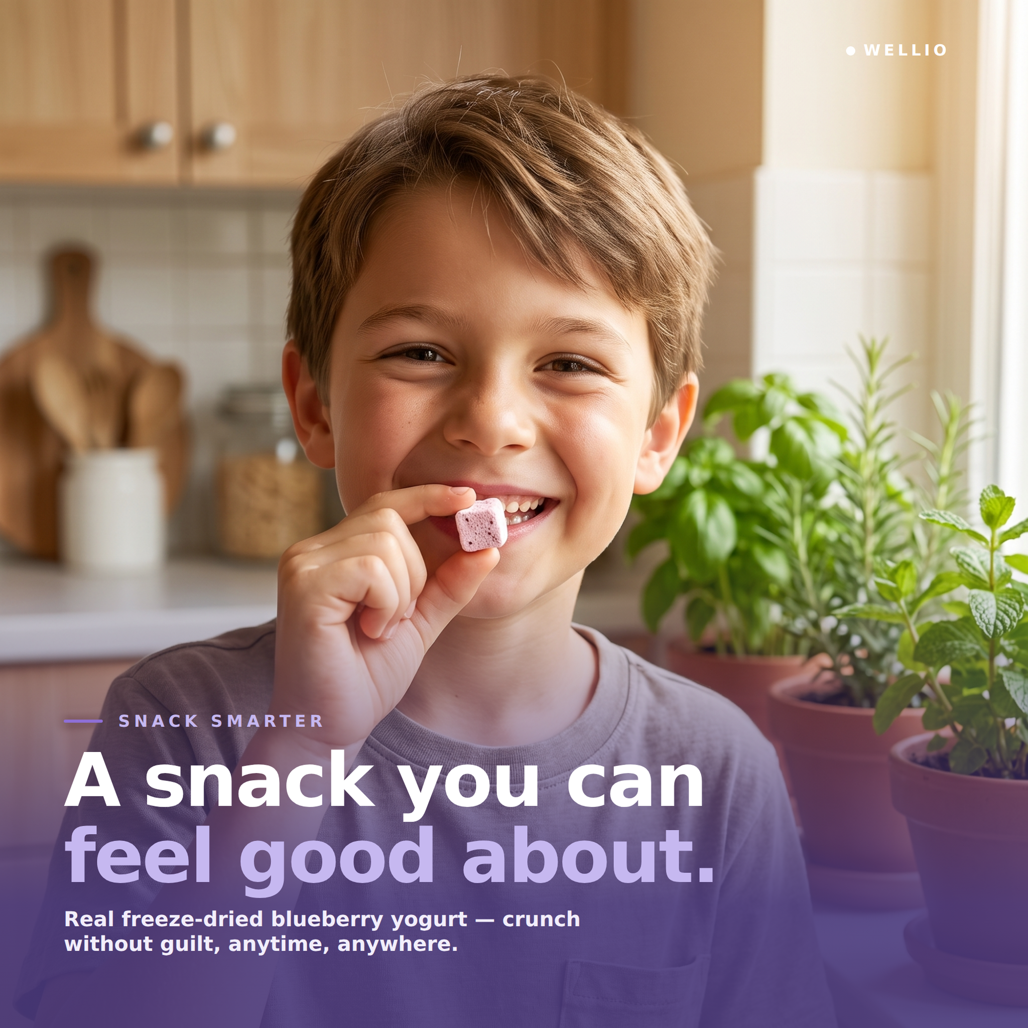 Wellio Freeze-Dried Blueberry Yogurt Bites