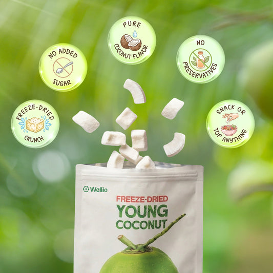 Premium Freeze-Dried Young Coconut – 100% Pure, No Added Sugar, Keto& Vegan Friendly