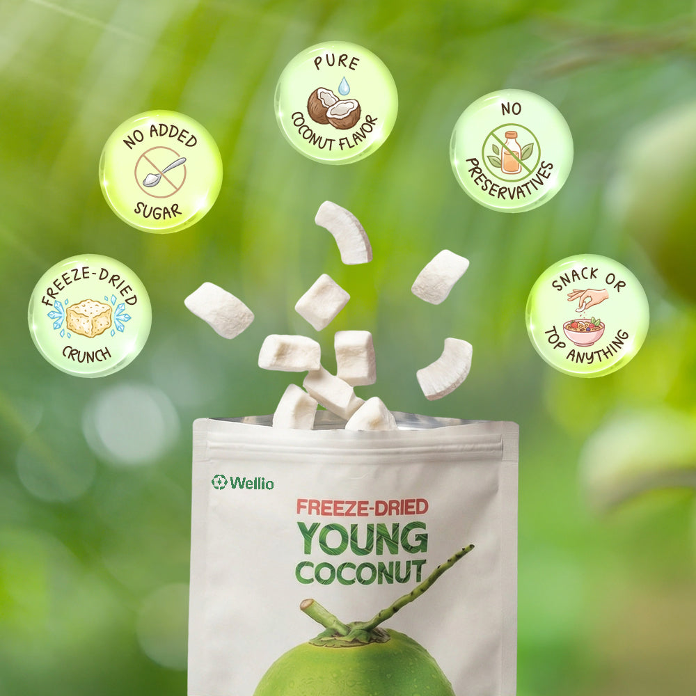 Premium Freeze-Dried Young Coconut – 100% Pure, No Added Sugar