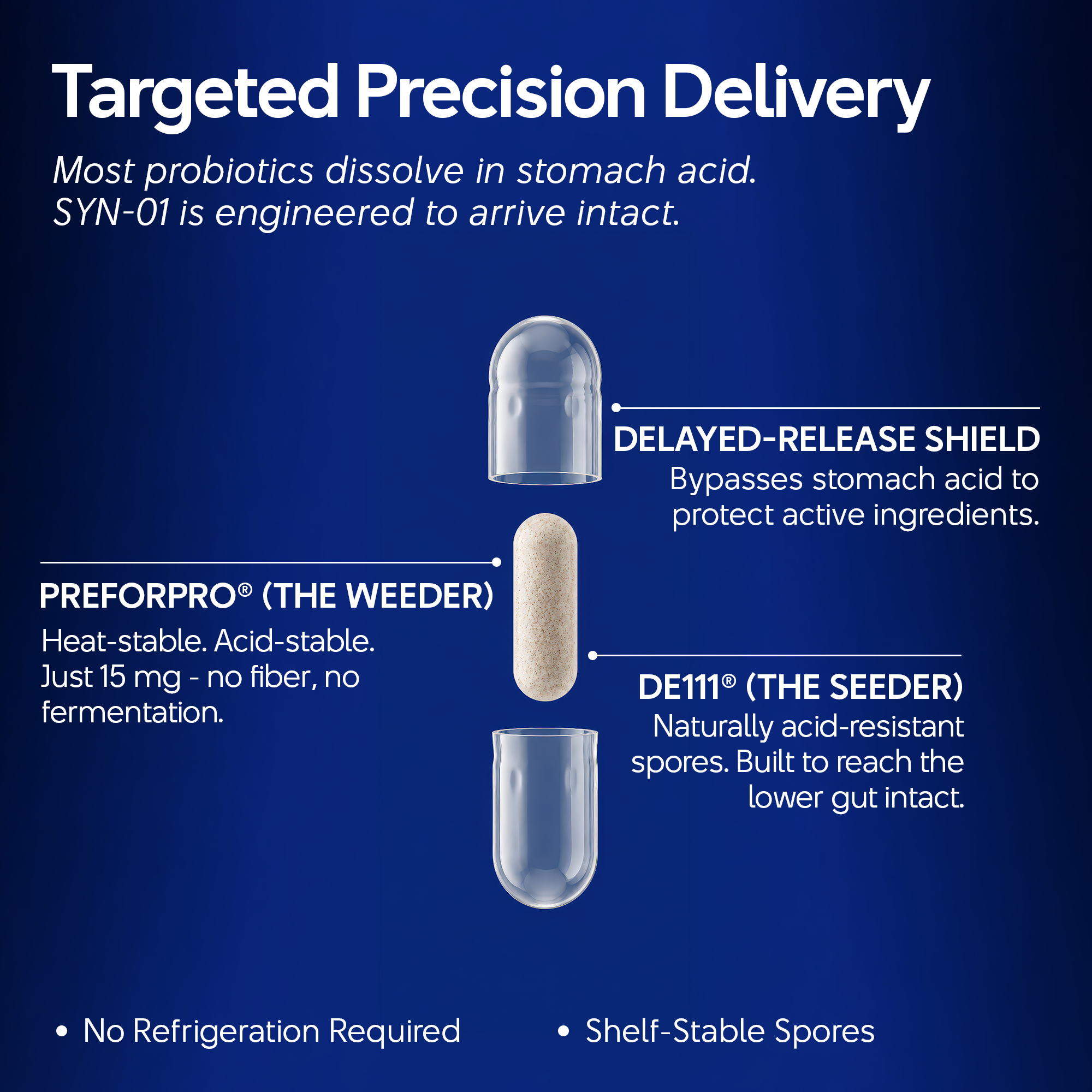 Syn-01 - New Generation of Synbiotic