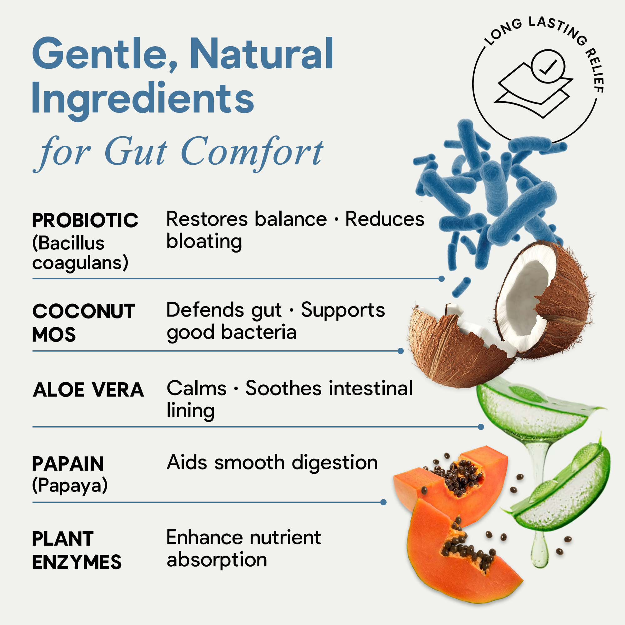 Daily Digestive Oral Strip - 10B Probiotic + Coconut MOS Prebiotic & Enzymes for On-the-Go Bloat Relief