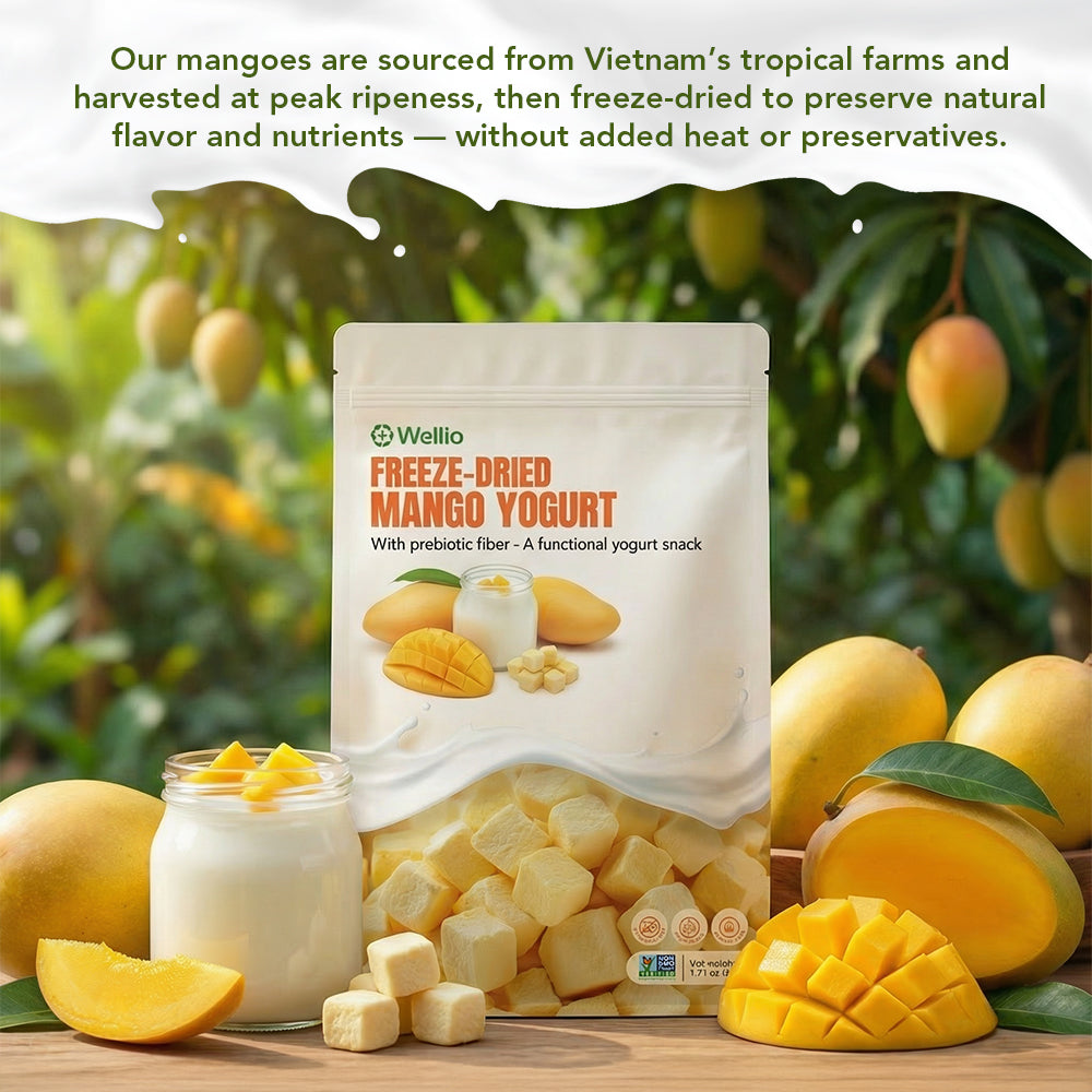 Freeze-Dried Mango Yogurt Bites – Crunchy No-Added-Sugar Dessert Snack with Prebiotic Fiber