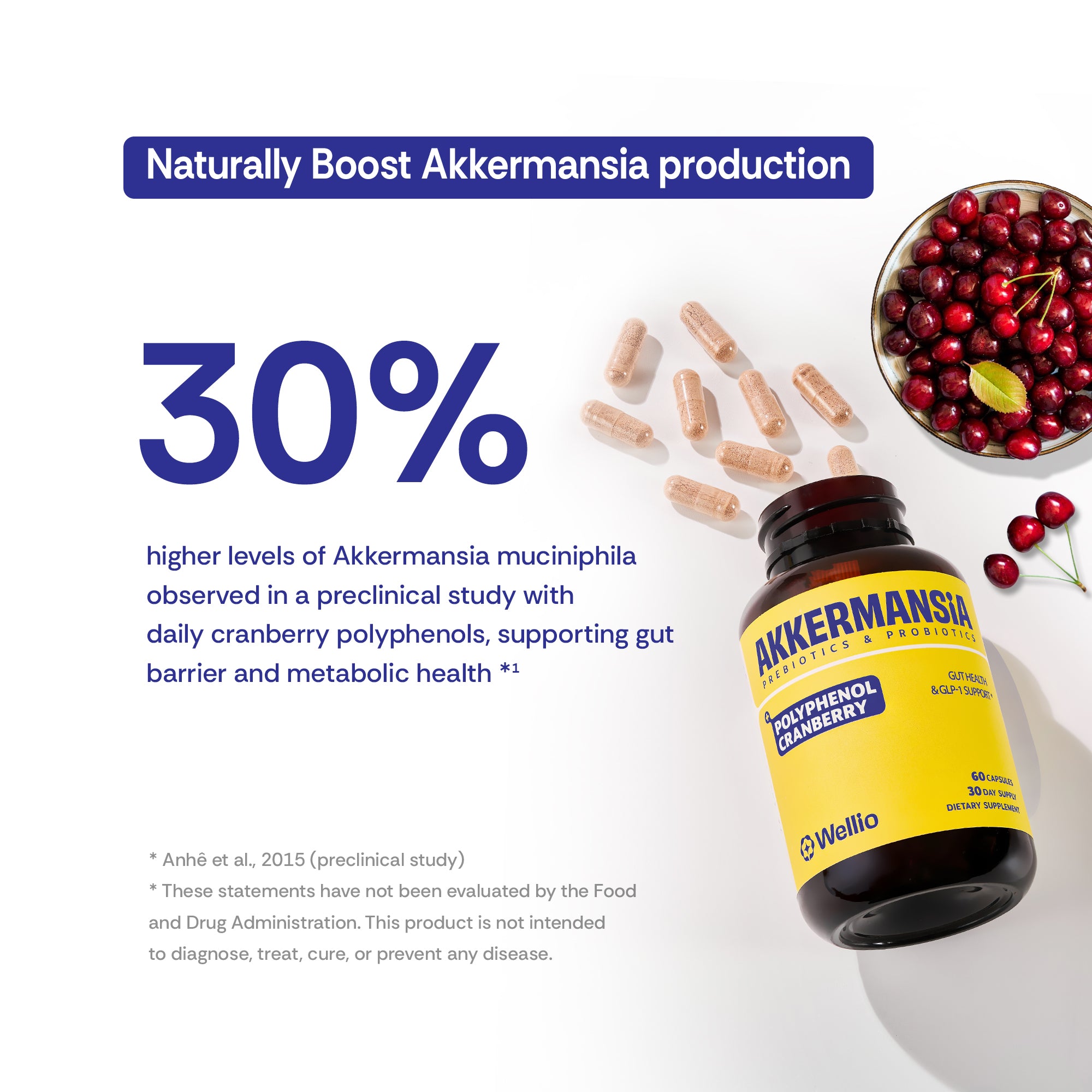 Akkermansia Probiotic