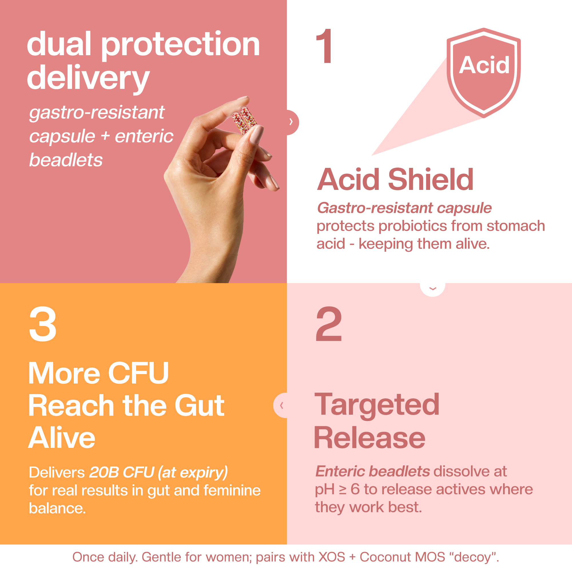 Daily Women’s Synbiotic - 20B CFU Probiotic + XOS Prebiotic & Coconut MOS for Gut & Vaginal Balance; GR-1® & RC-14®