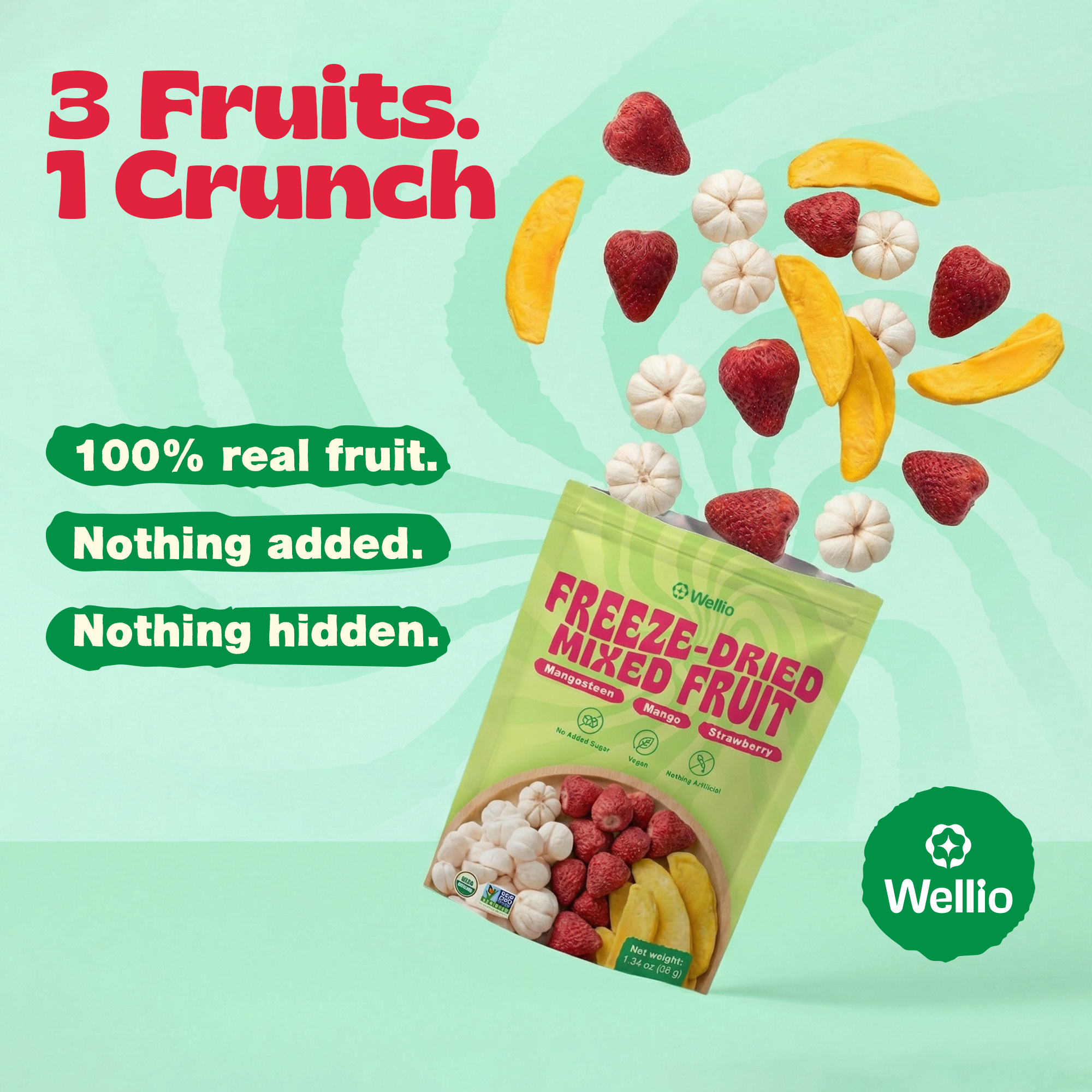 Clean Snacking Tropical Mix (Mango • Mangosteen • Strawberry) | 100% Real Fruit, Freeze-Dried Crunchy Snack