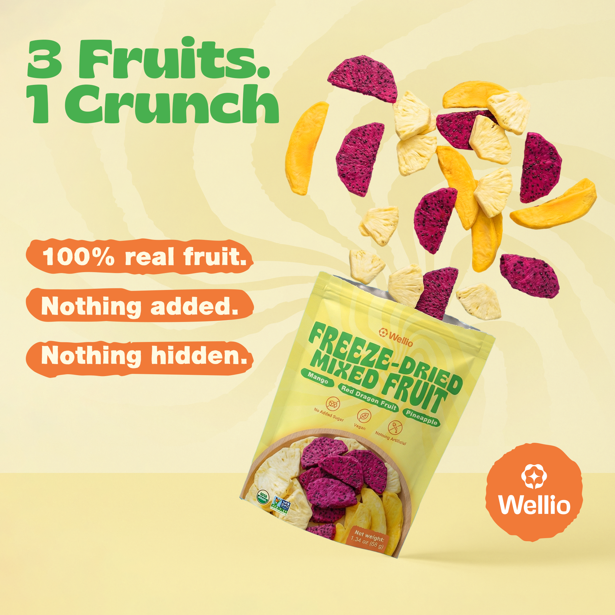 Tropical Mix: Freeze-Dried Mango, Pineapple & Red Dragon Fruit – 100% Natural Fruit Snack