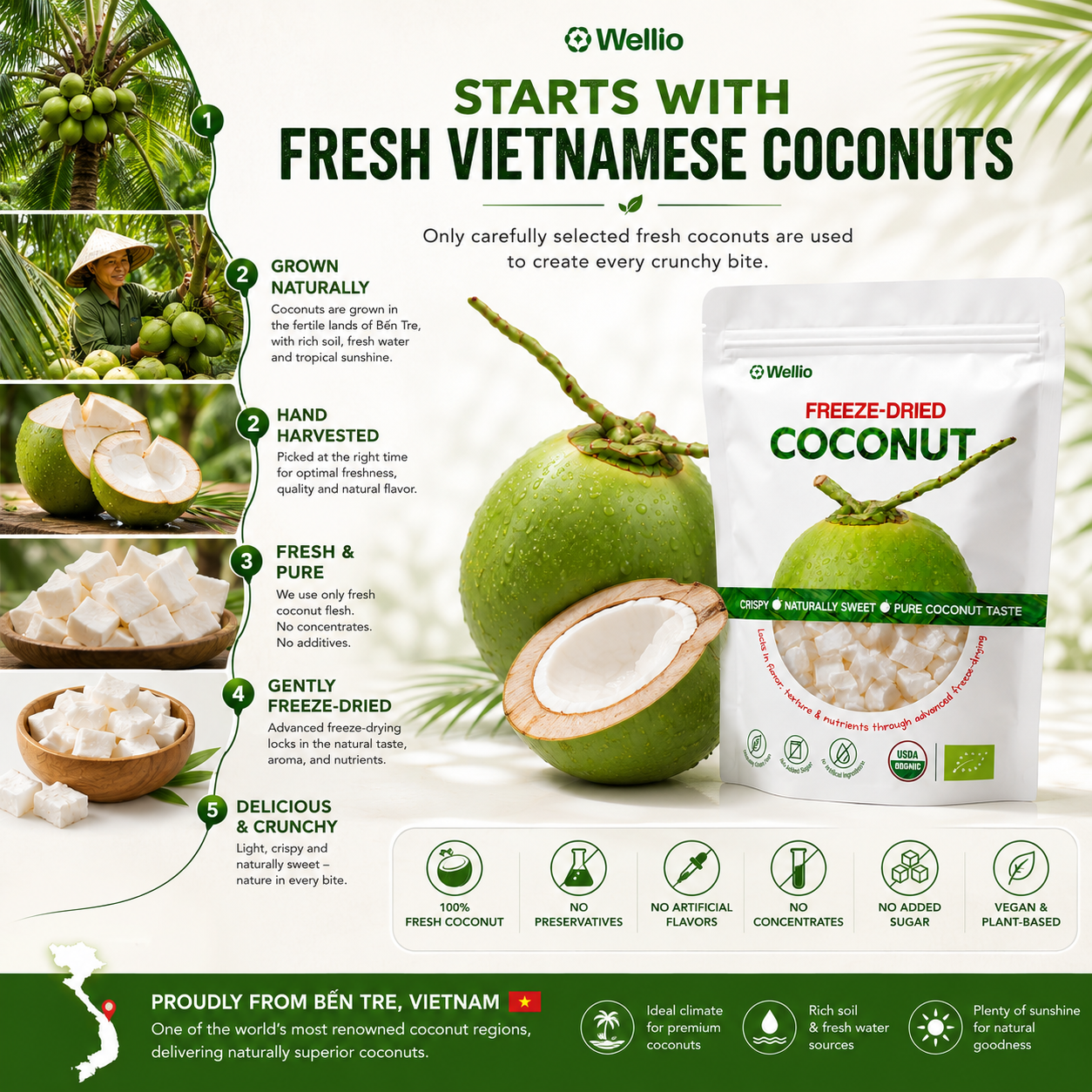 Premium Freeze-Dried Coconut – 100% Pure, No Added Sugar, USDA Organic, Organic EU (7.06 oz)