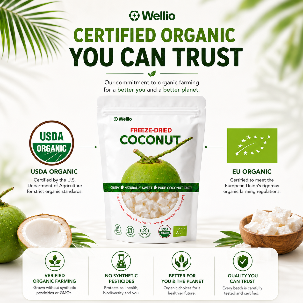 Premium Freeze-Dried Coconut – 100% Pure, No Added Sugar, USDA Organic, Organic EU (7.06 oz)