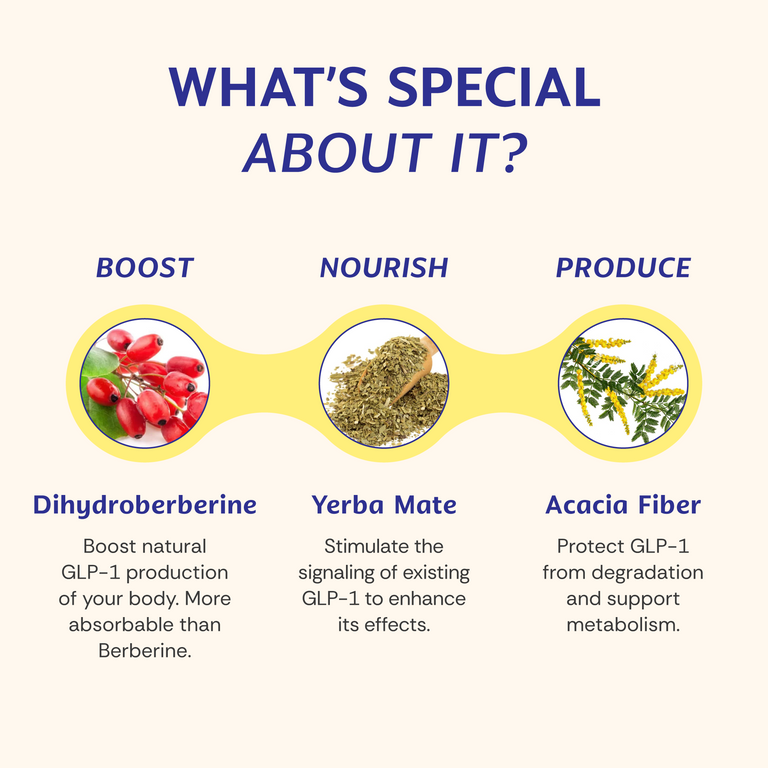 GLP-1 Optimal - Wellio – Wellio - Gut Health Experts