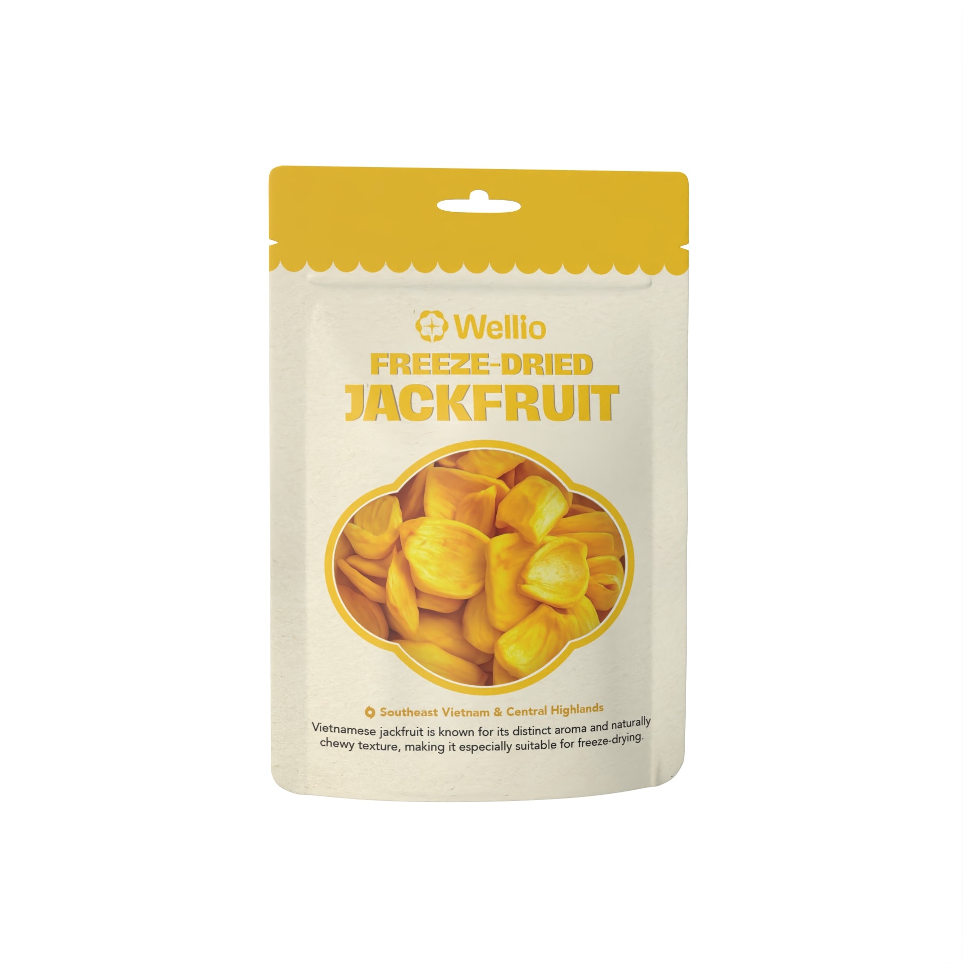 Tropical Freeze-Dried Fruit Gift Box (6 Variety Packs) - 100% Real Fruit (Mango, Pineapple, Banana, Coconut, Dragon Fruit, Jackfruit) - No Sugar Added, Gluten-Free, Clean Eating
