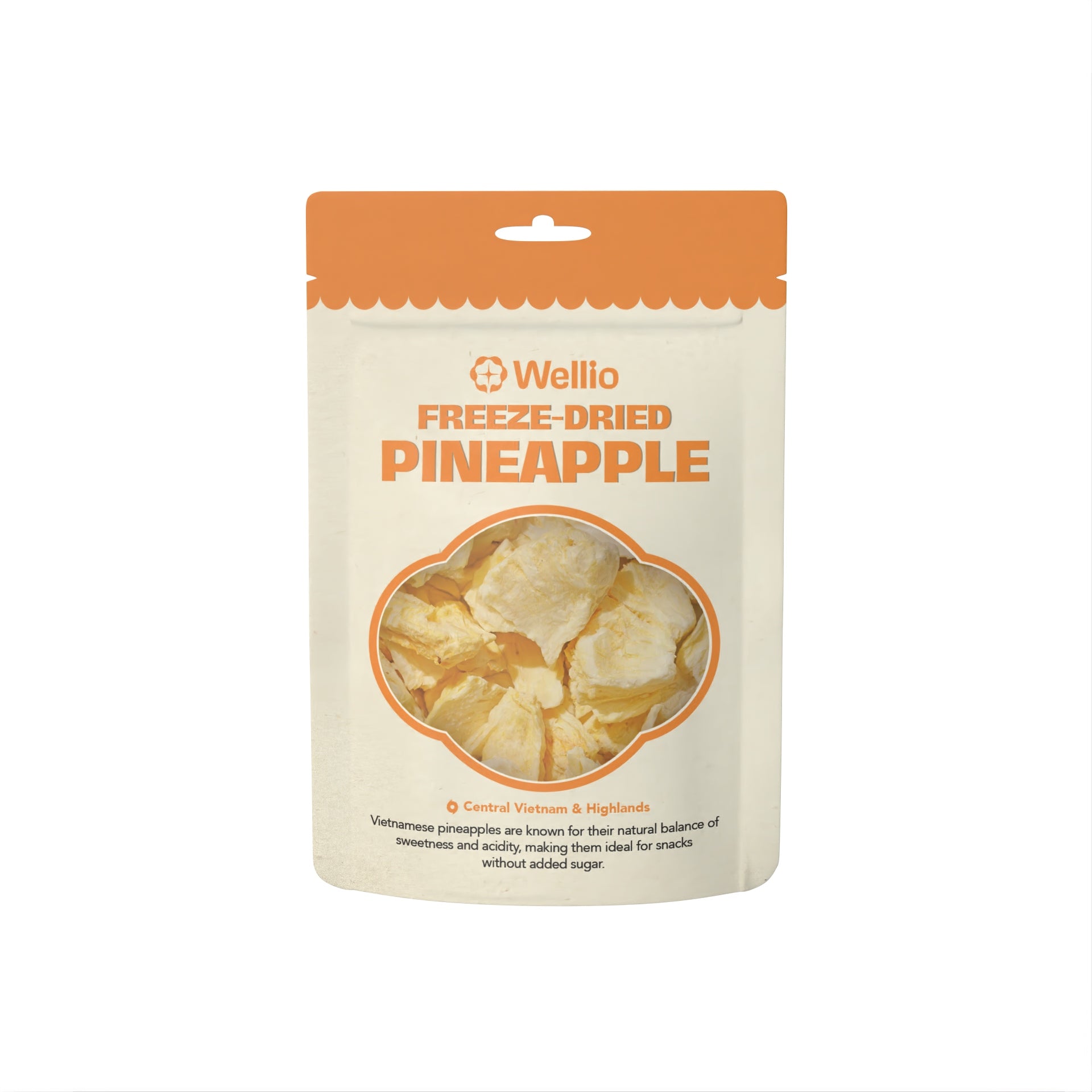 Tropical Freeze-Dried Fruit Gift Box (6 Variety Packs) - 100% Real Fruit (Mango, Pineapple, Banana, Coconut, Dragon Fruit, Jackfruit) - No Sugar Added, Gluten-Free, Clean Eating
