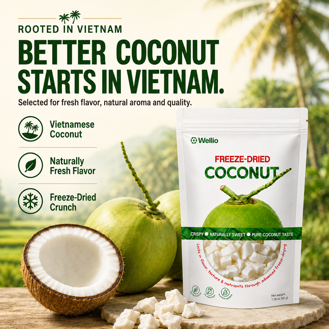 Premium Freeze-Dried Coconut – 100% Pure, No Added Sugar
