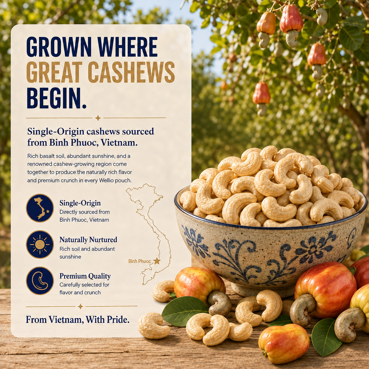 Wellio Original Unsalted Vietnamese Cashews – Dry-Roasted (Box of 12 Single-Serve Pouches, 15 oz Total)