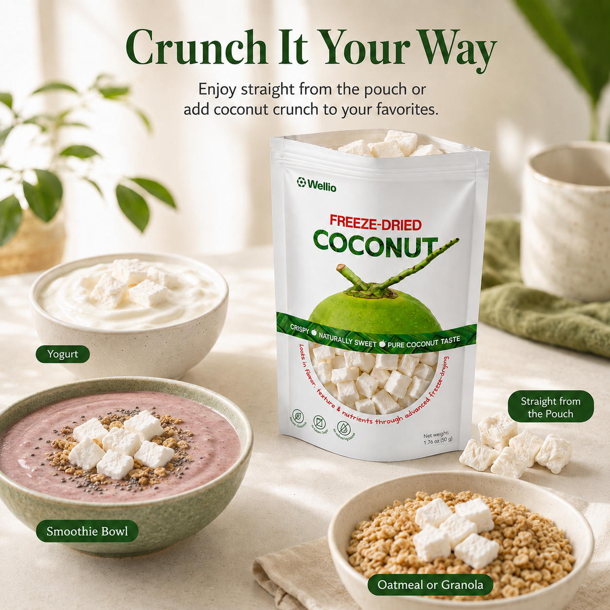 Premium Freeze-Dried Coconut – 100% Pure, No Added Sugar