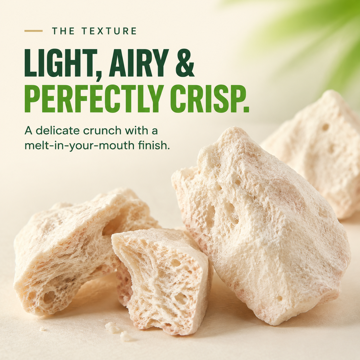 Freeze-Dried Soursop — Tangy-Sweet Tropical Crisps, 100% Real Fruit, No Added Sugar