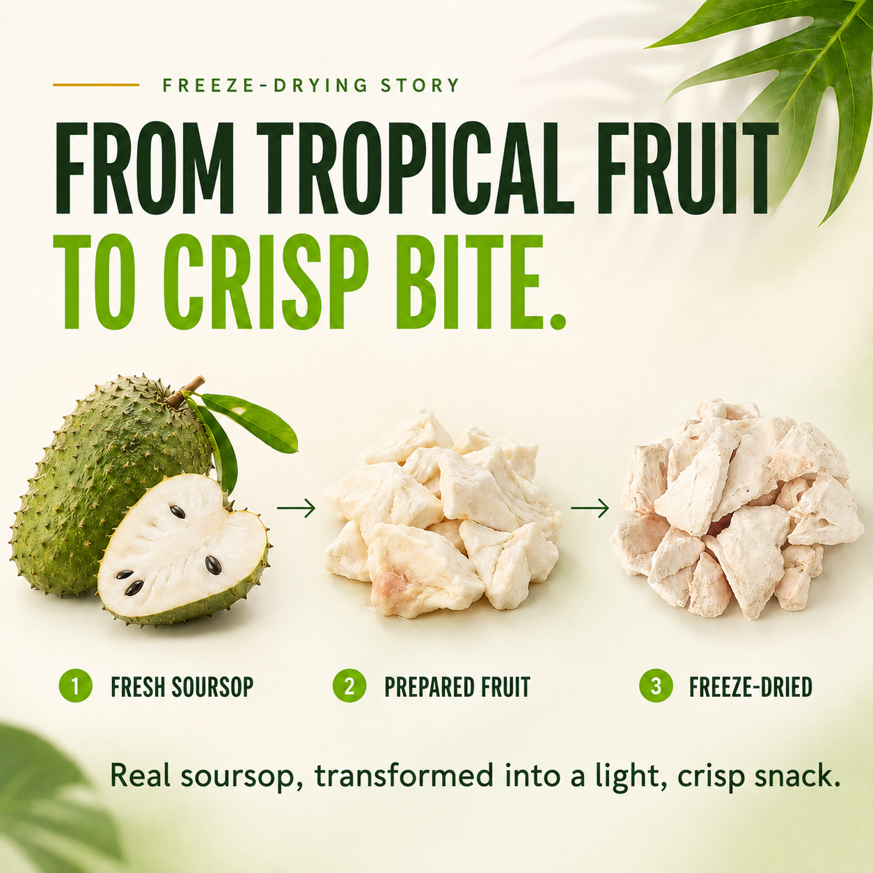 Freeze-Dried Soursop — Tangy-Sweet Tropical Crisps, 100% Real Fruit, No Added Sugar