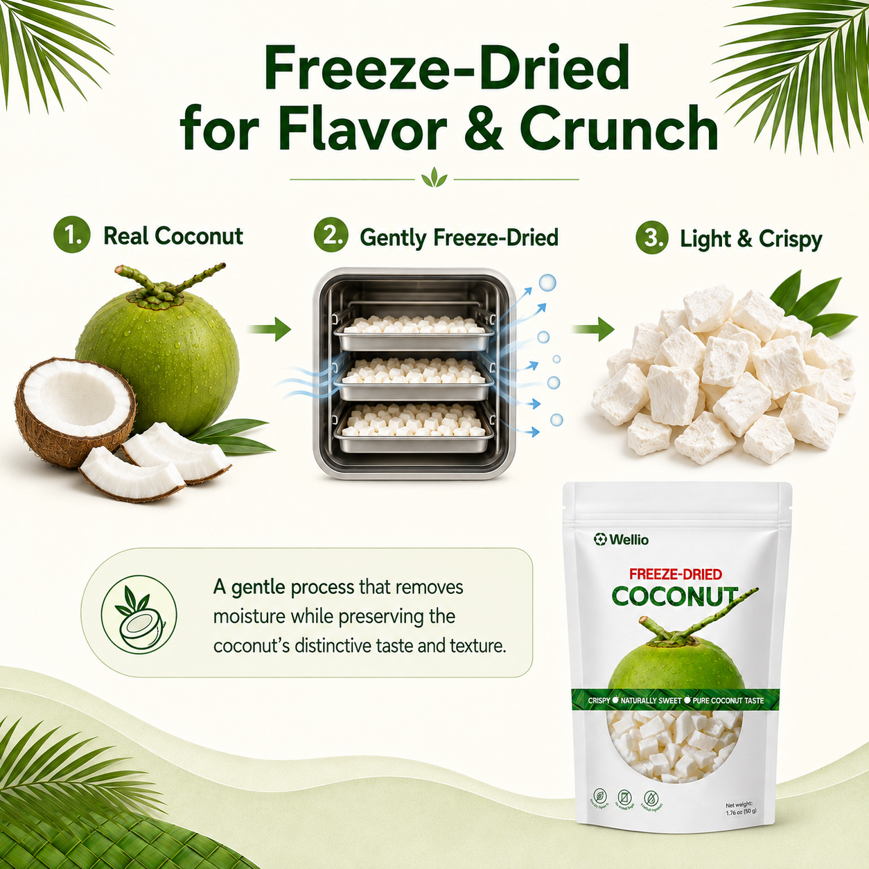 Premium Freeze-Dried Coconut – 3 Individually Packed Pouches (1.76 oz each)