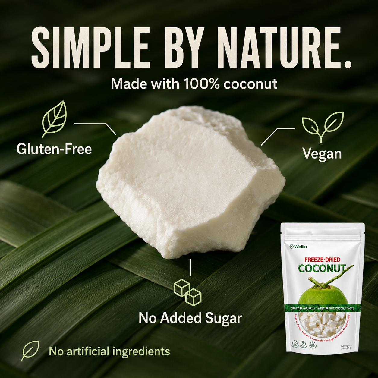 Premium Freeze-Dried Coconut – 100% Pure, No Added Sugar, Keto & Vegan Friendly
