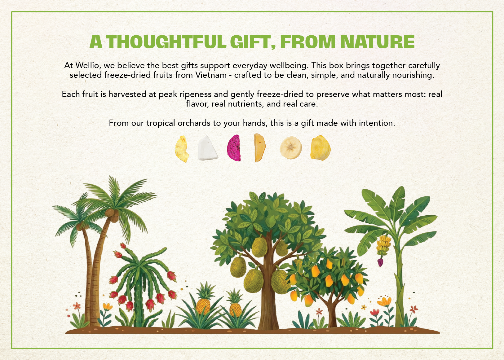 Tropical Freeze-Dried Fruit Gift Box (6 Variety Packs) - 100% Real Fruit (Mango, Pineapple, Banana, Coconut, Dragon Fruit, Jackfruit) - No Sugar Added, Gluten-Free, Clean Eating